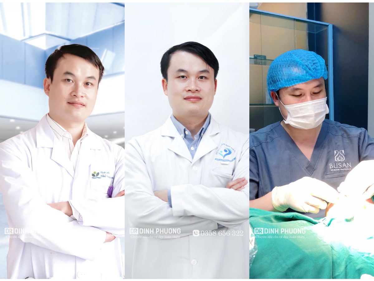 Quá trình công tác của bác sĩ Trần Đình Phượng